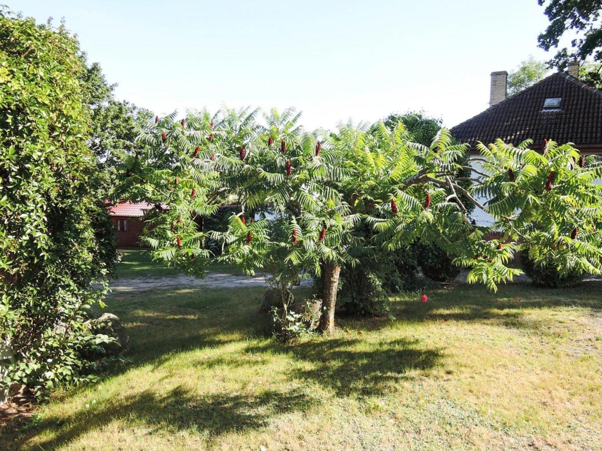 Bungalow In Lubin At 300 M From The Lake Exterior photo