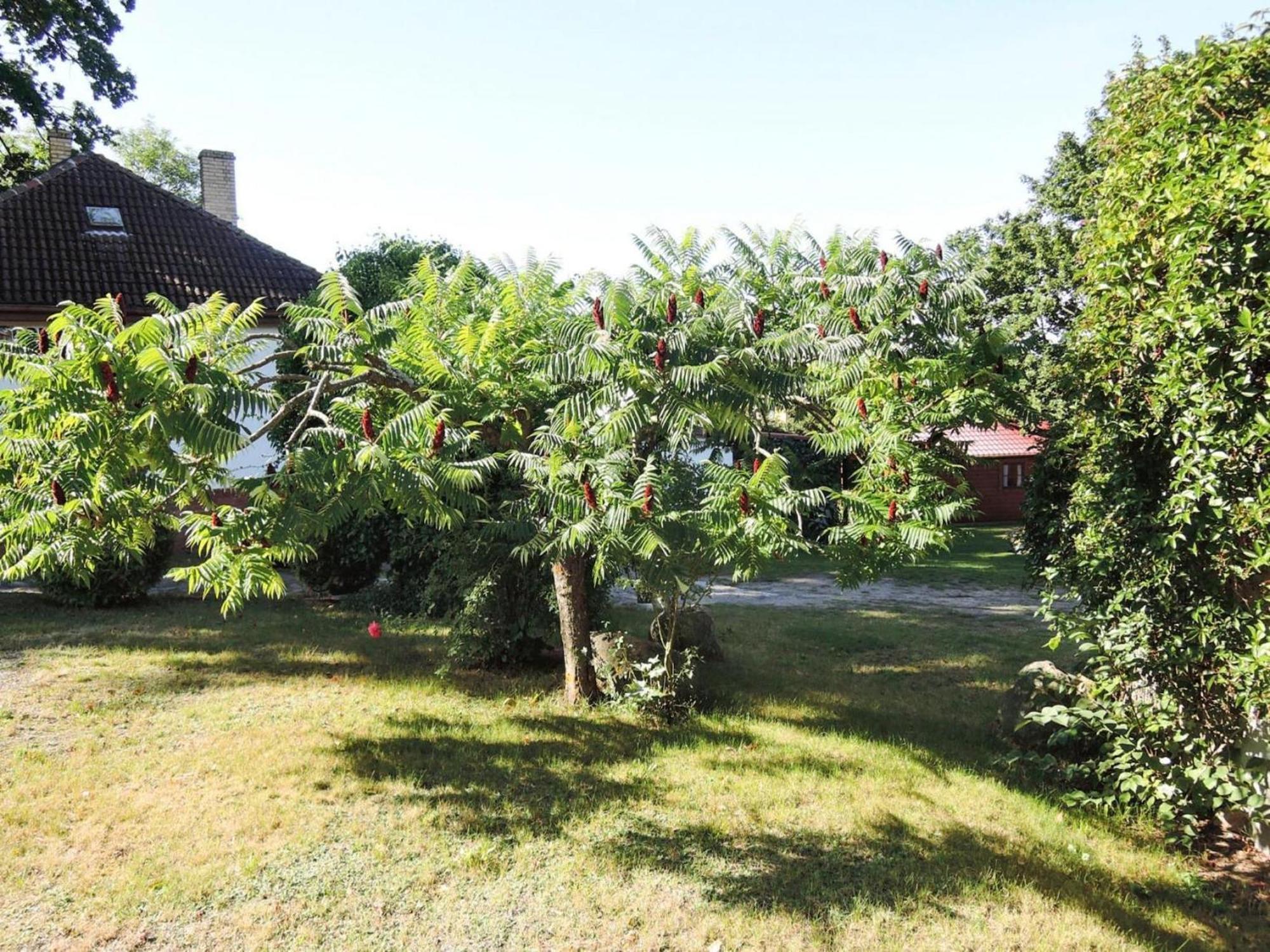 Bungalow In Lubin At 300 M From The Lake Exterior photo